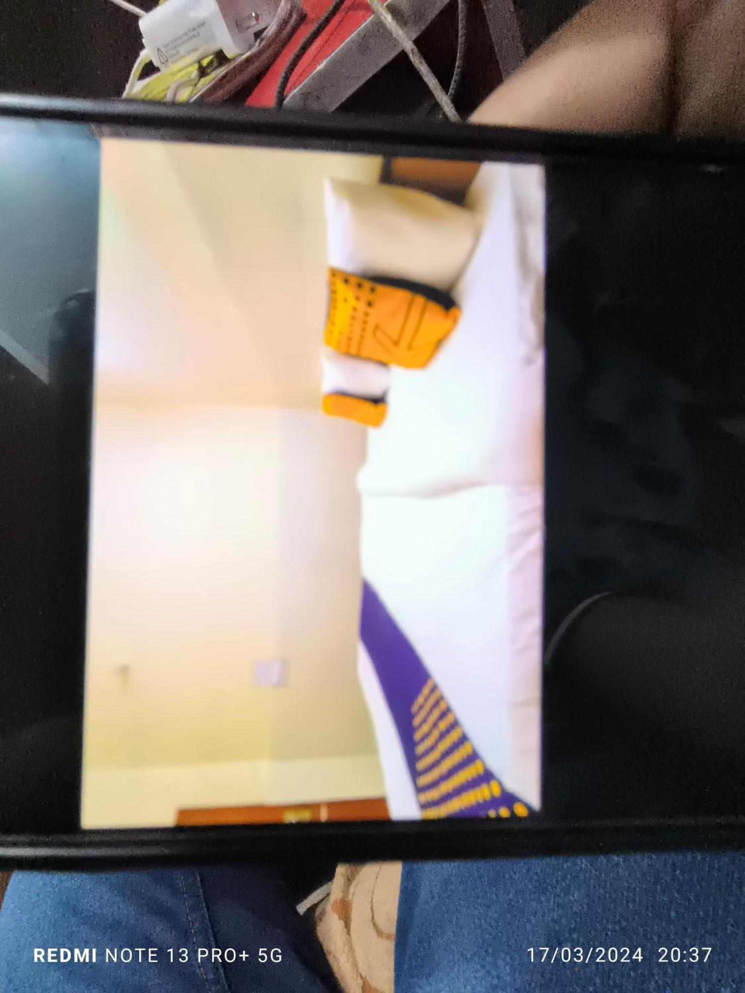 Hotel Dhanua Palace 2*